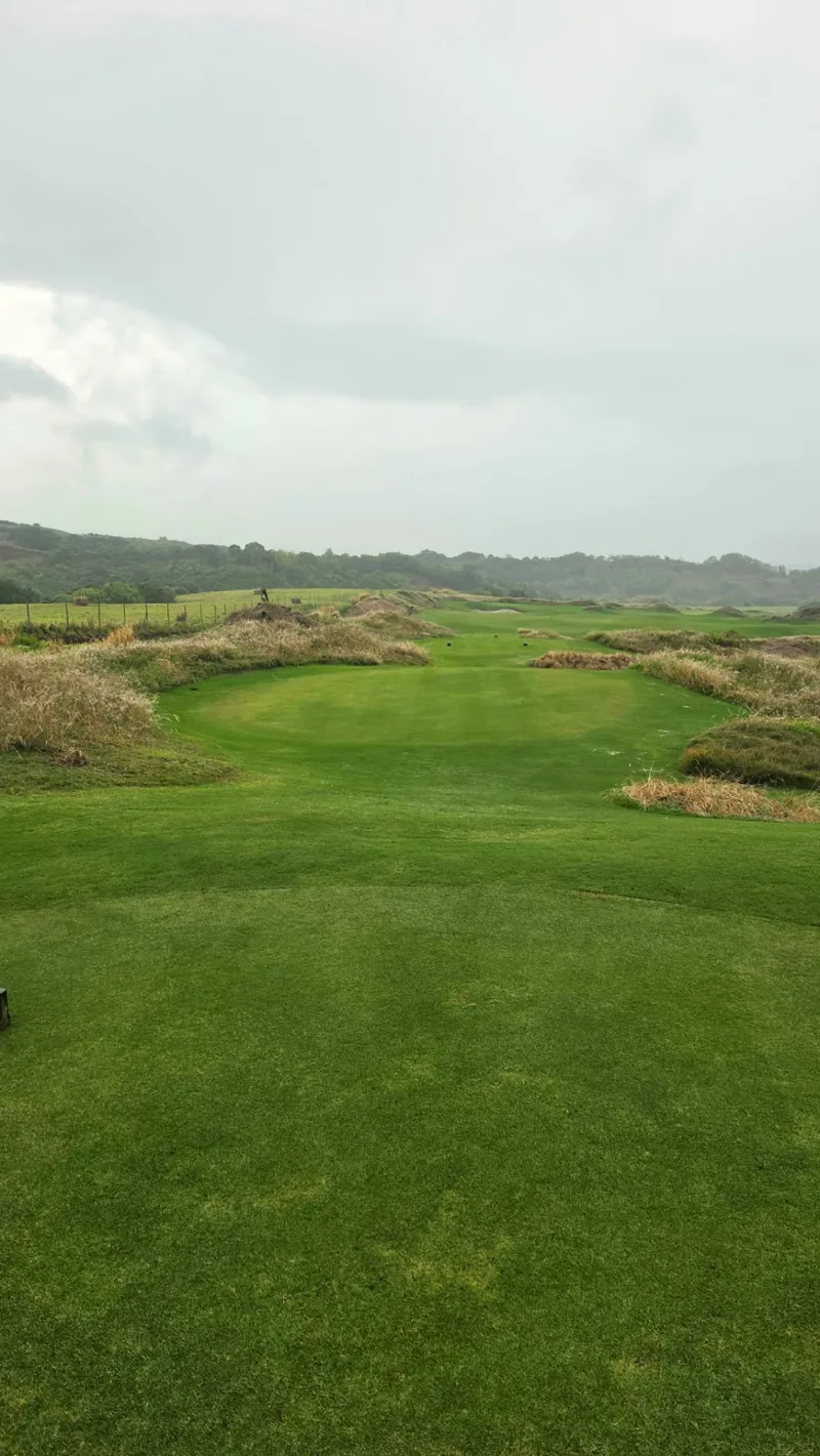 Fairway mellan sanddynerna